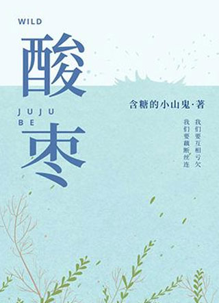 酸枣吕新尧小说