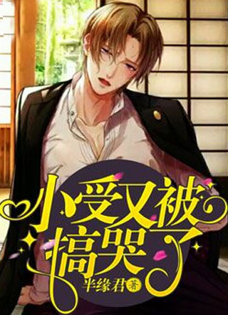 小受又被弄哭了小说
