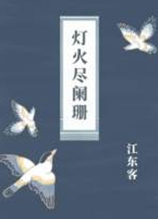 灯火尽阑珊小说