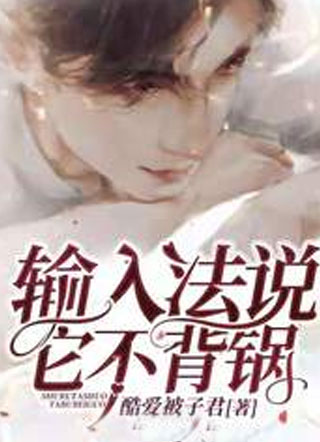 输入法说它不背锅小说