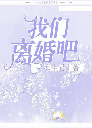 我们离婚吧小说