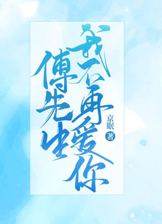 傅先生，我不再爱你小说