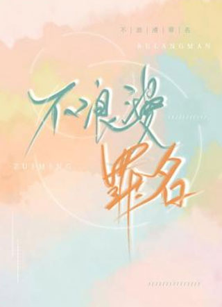 不浪漫罪名庭云小说