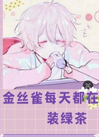 总裁的金丝雀每天都装绿茶小说