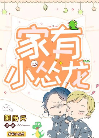 家有小怂龙任时川小说