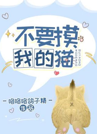 不要摸我的猫小说