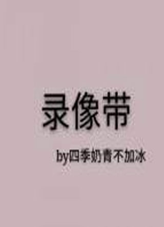 录像带小说