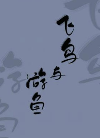 飞鸟与游鱼小说