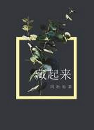 藏起来by阿阮有酒小说