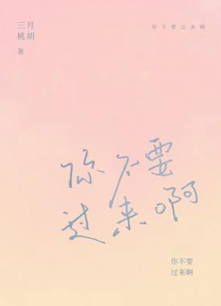 你不要过来啊小说