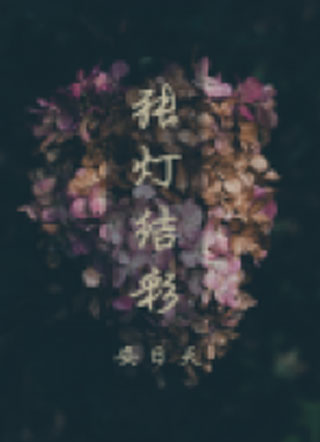 张灯结彩小说