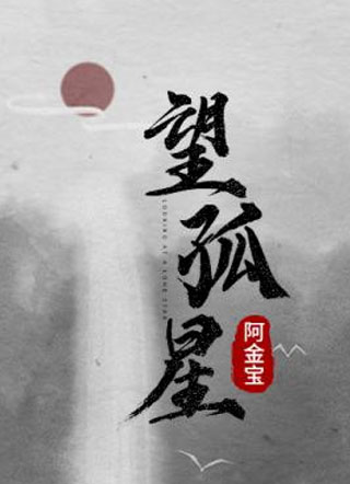 望孤星小说