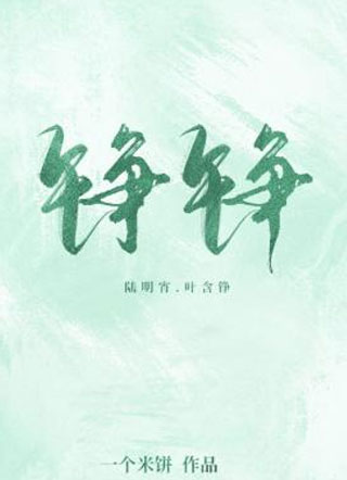 铮铮陆明霄小说