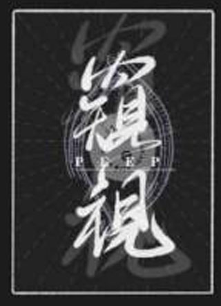 窥视小说