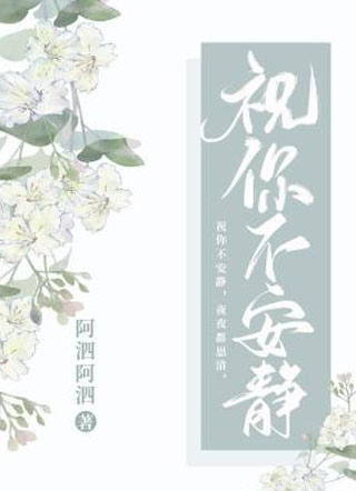 祝你不安静小说