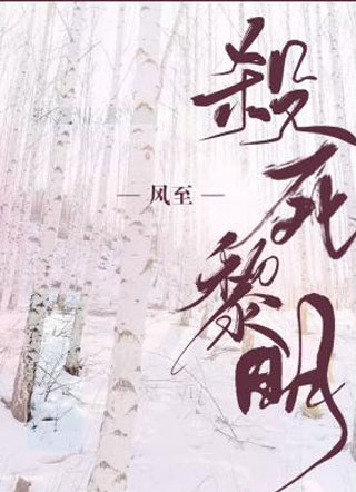 杀死黎明来风至小说