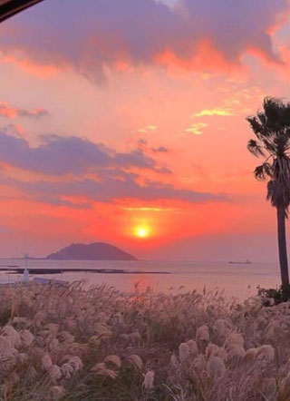 我漫长的暗恋史小说