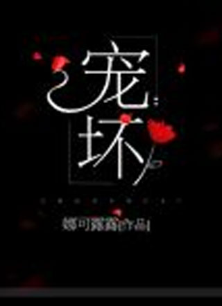 宠坏小说