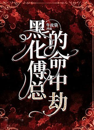 黑化傅总的命中劫小说