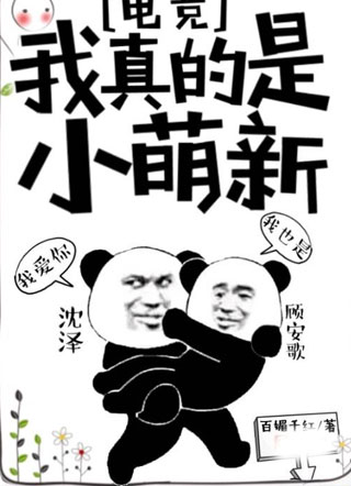 我真的是小萌新电竞重生小说
