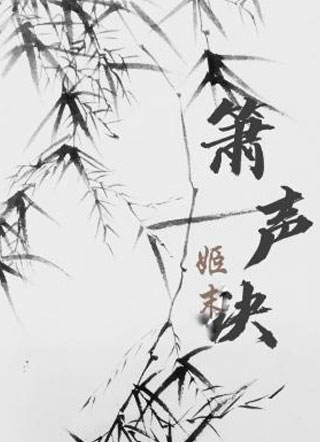 箫声玦小说