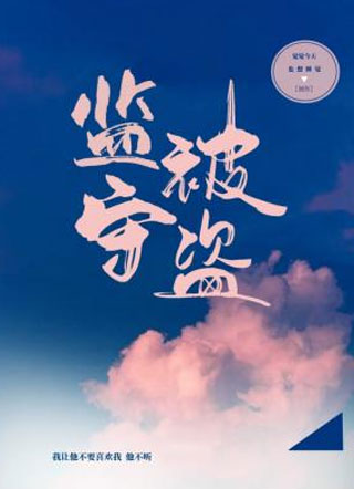 监守被盗周劲野小说