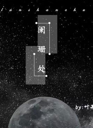 阑珊处陶立阳小说