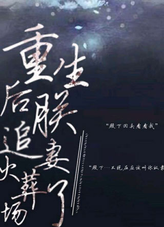 重生后朕追妻火葬场了小说