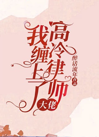 我缠上了高冷律师大佬小说