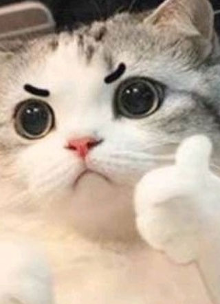 甜味小奶猫又被总裁抱走了兰然小说