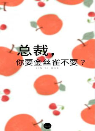 总裁，你要金丝雀不要？小说