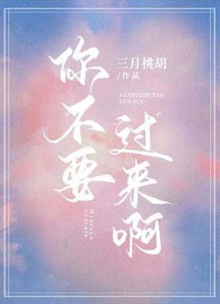 你不要过来啊！小说