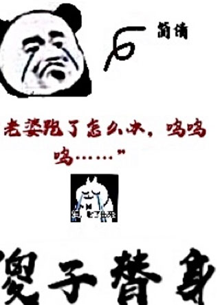 傻子替身程温小说