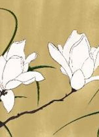 等柳暗花明小说