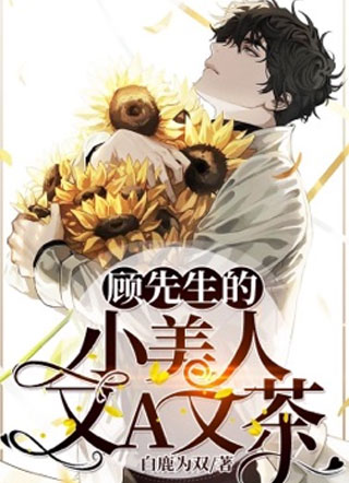 顾先生的小美人又A又茶小说