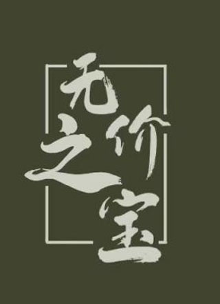 无价之宝小说