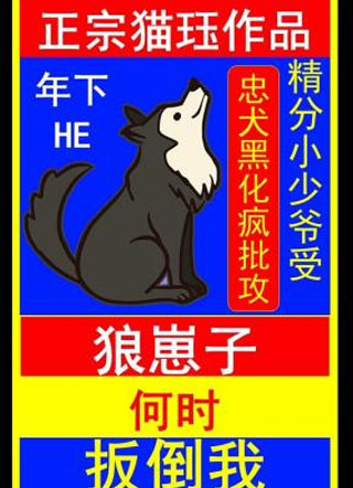 狼崽子何时扳倒我猫珏小说