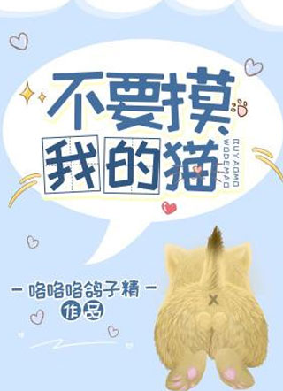 不要摸我的猫段斯遥小说