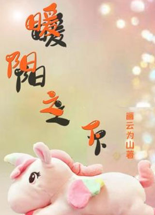 暖阳之下云述小说