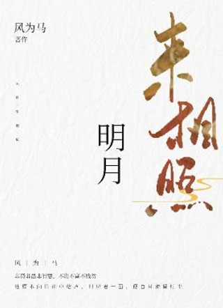明月来相照元君玉小说