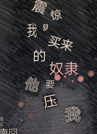 震惊，买来的奴隶想压我小说