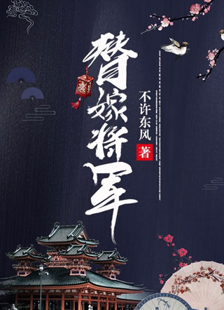 替嫁将军小说