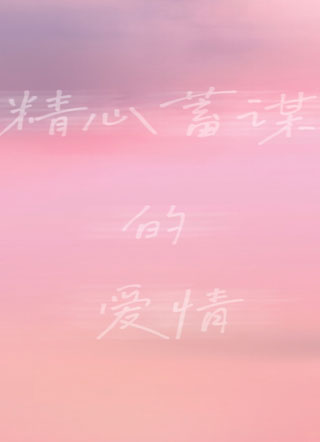 精心蓄谋的爱情小说