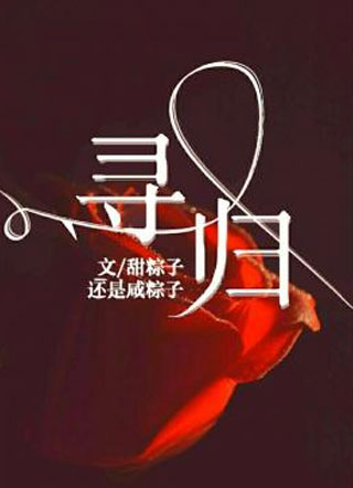 寻归小说