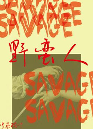 野蛮人情热枯叶小说