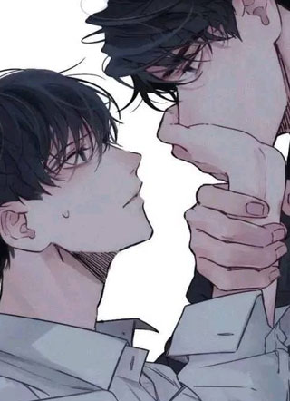 全城热搜：顾总弯了！小说