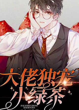 大佬独宠小绿茶小说