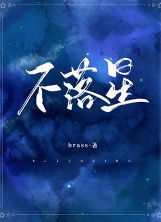 不落星黎星漠小说