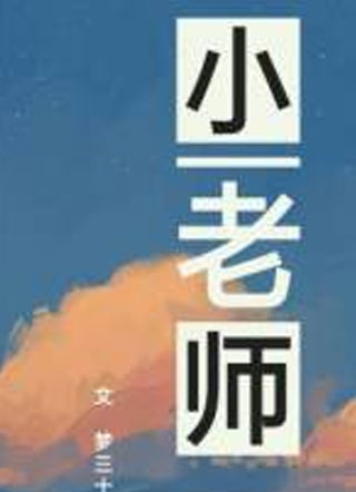 小老师小说