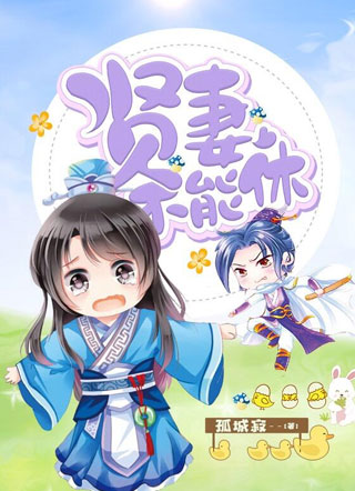 贤妻不能休小说